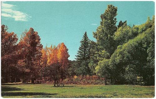 Hummingbird Music Camp, Jemez Springs, New Mexico The music and recreational camp is nestled along the banks of the beautiful Jemez River in the heart of the Jemez Valley among the tall pines and towering peaks. Color by Don Kolkmeyer/Distributed by Southwest Post Card Co. 