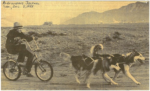 Photo by Alexandria King/Journal Photo