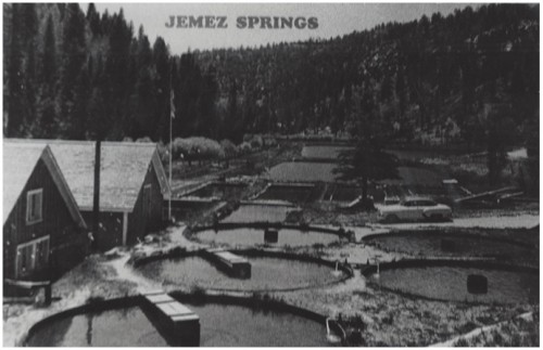 Postcard From Jemez Springs Showing Seven Springs Fish Hatchery