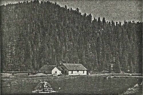 Seven Springs Hatchery