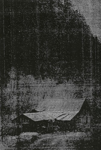 Curling tin roof and weathered boards characterize shack and barn in Bland.